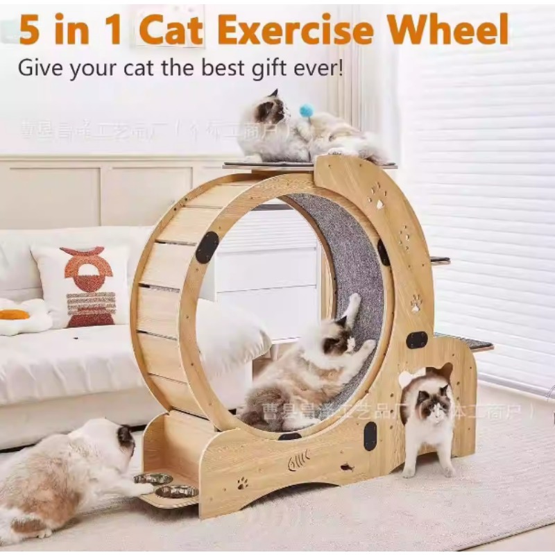 Cat Running Wheel Exercise Treadmill - Rueda de Ejercicio para Gatos de