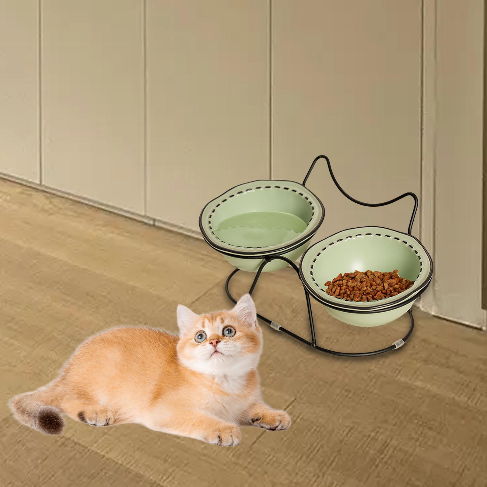 Elevated Ceramic Cat Bowls Tilted Food - Juego de comederos dobles de cerámica