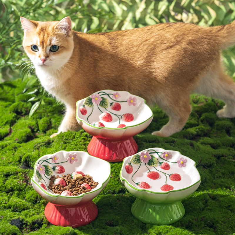 Elevated Ceramic Cat Bowls Tilted Food - Comedero Elevado de Cerámica para Gatos