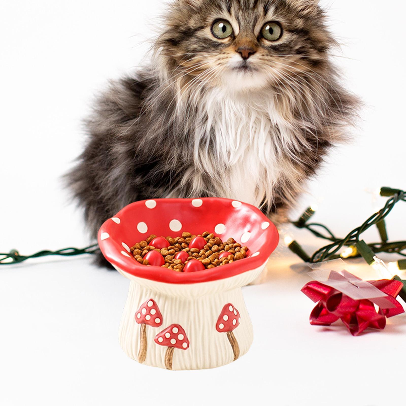 Elevated Ceramic Cat Bowls Tilted Food - Comedero Creativo de Cerámica para Gatos,