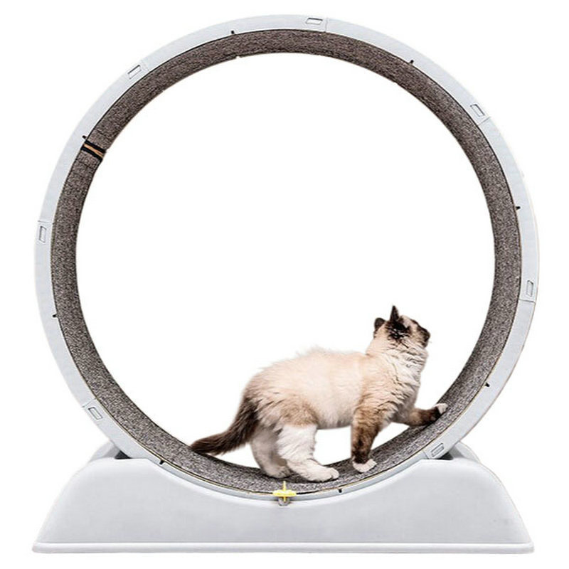 Cat Running Wheel Exercise Treadmill - Nueva cinta de correr para gatos