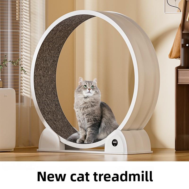 Cinta de Correr Manual Silenci - Cat Running Wheel Exercise Treadmill reseña y precio