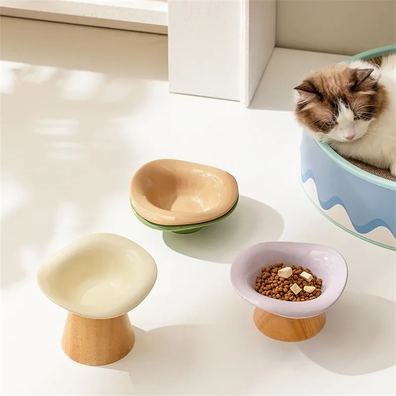 Tazón de cerámica creativo par - Elevated Ceramic Cat Bowls Tilted Food reseña y precio