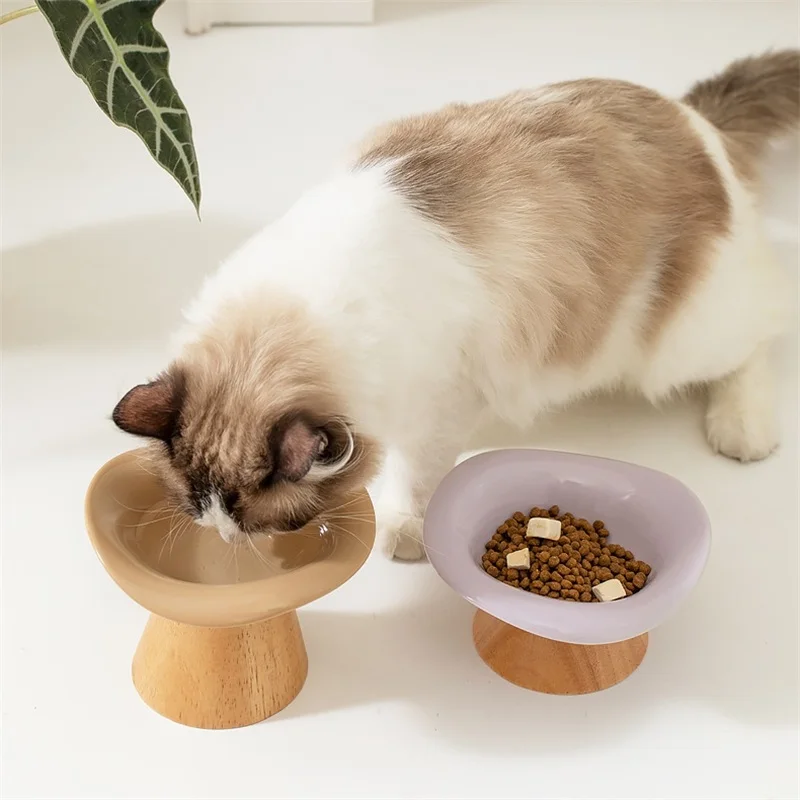 Tazón de cerámica creativo par - Elevated Ceramic Cat Bowls Tilted Food reseña y precio