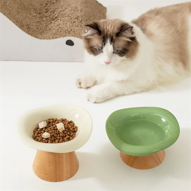 Tazón de cerámica creativo par - Elevated Ceramic Cat Bowls Tilted Food reseña y precio