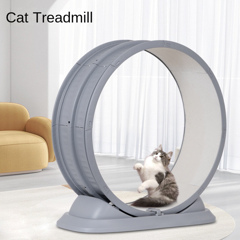 Rueda deportiva antipellizco d - Cat Running Wheel Exercise Treadmill reseña y precio