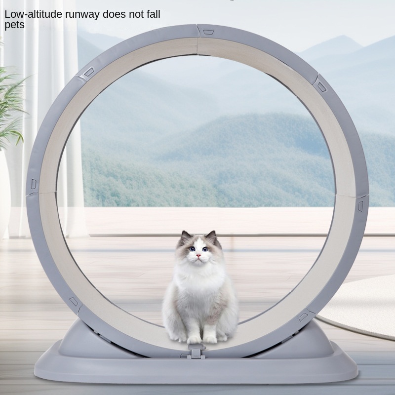 Rueda deportiva antipellizco d - Cat Running Wheel Exercise Treadmill reseña y precio