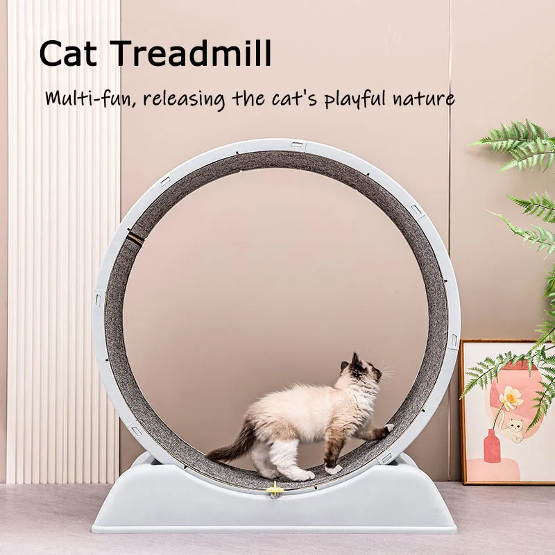 Cinta de correr silenciosa par - Cat Running Wheel Exercise Treadmill reseña y precio