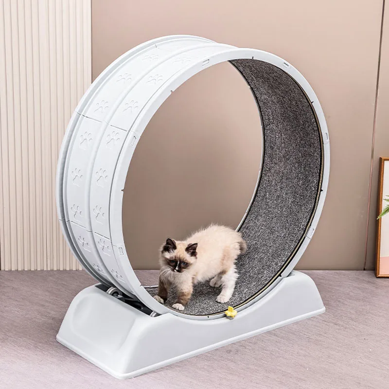 Cinta de correr silenciosa par - Cat Running Wheel Exercise Treadmill reseña y precio