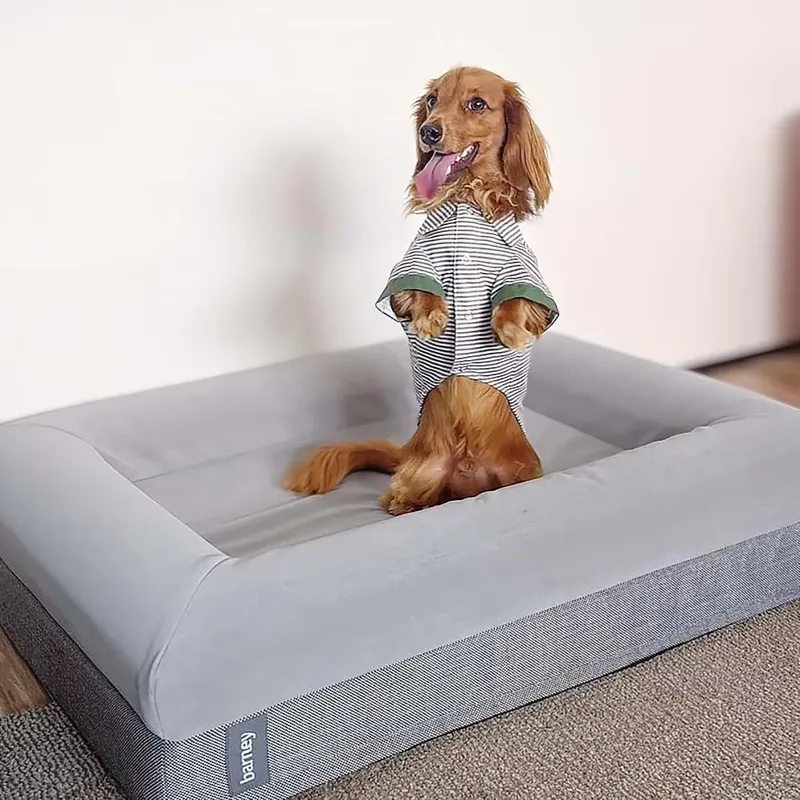 Cama ortopédica de lujo para p - Orthopedic Memory Foam Dog Bed Washable reseña y precio
