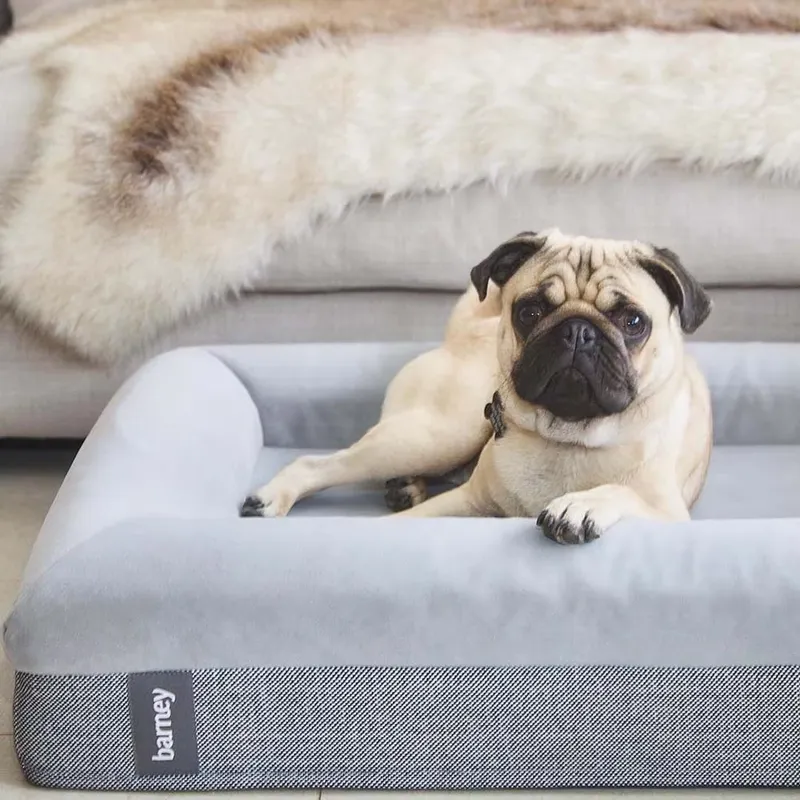 Cama ortopédica de lujo para p - Orthopedic Memory Foam Dog Bed Washable reseña y precio