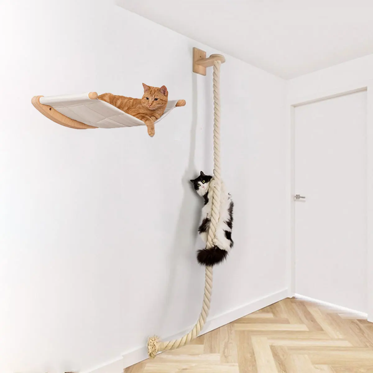 Estantes de escalada de pared  - Cat Wall Climbing Shelves Hammock Wooden reseña y precio