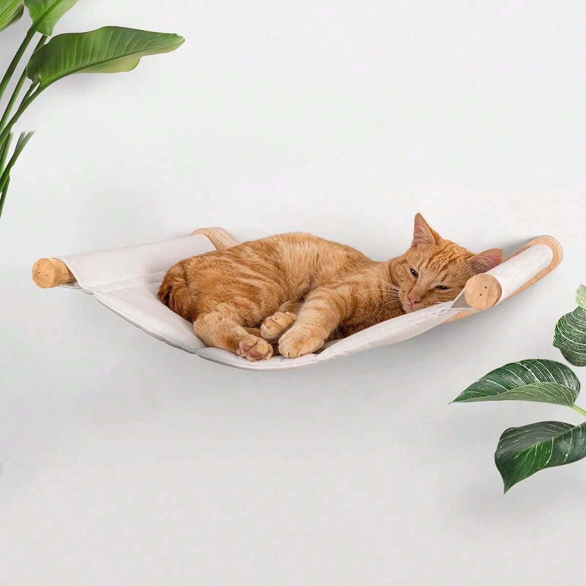 Estantes de escalada de pared  - Cat Wall Climbing Shelves Hammock Wooden reseña y precio