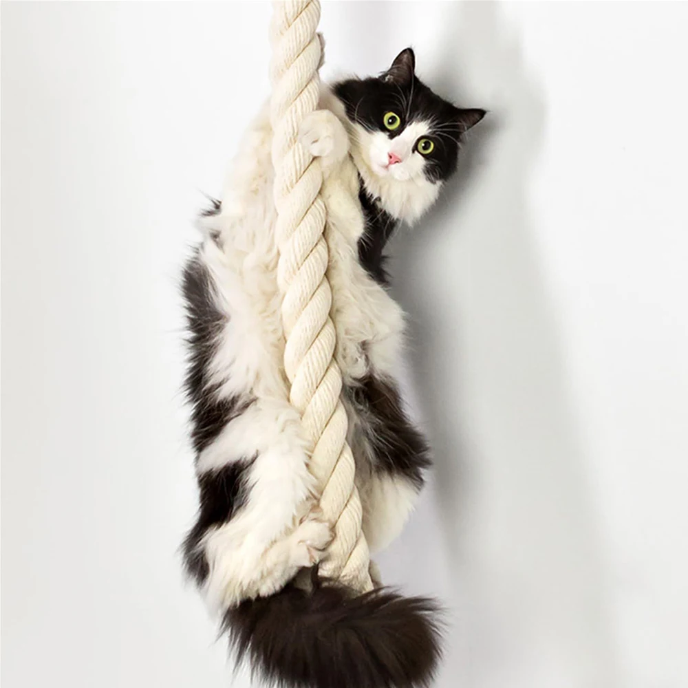 Estantes de escalada de pared  - Cat Wall Climbing Shelves Hammock Wooden reseña y precio