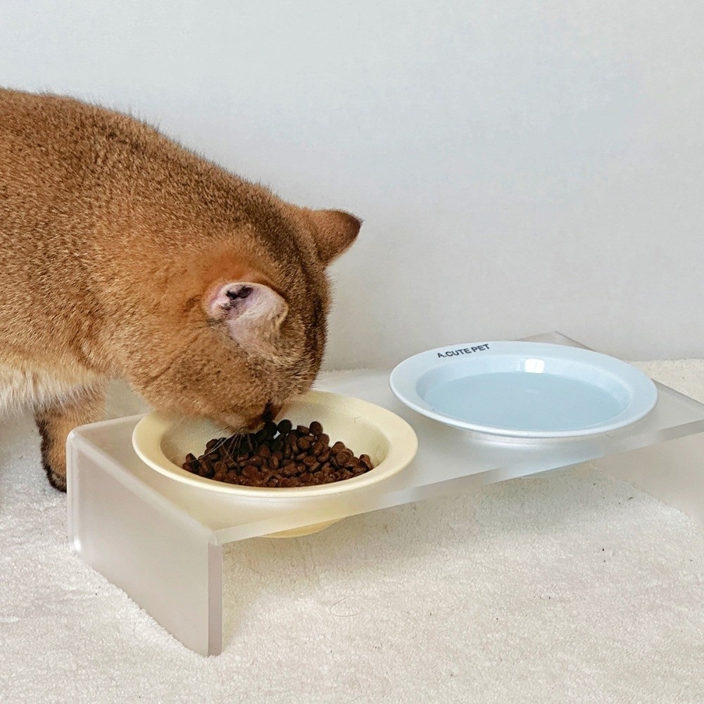 Comedero Elevado de Cerámica p - Elevated Ceramic Cat Bowls Tilted Food reseña y precio