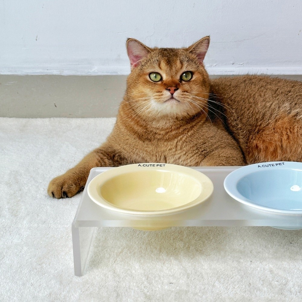 Comedero Elevado de Cerámica p - Elevated Ceramic Cat Bowls Tilted Food reseña y precio