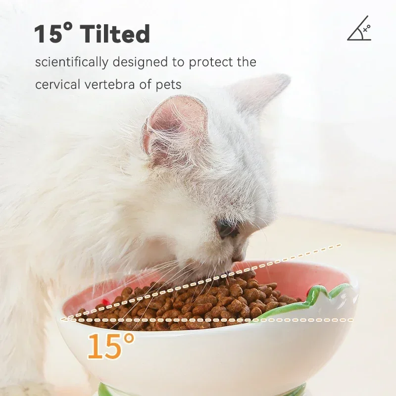 Tazón de Cerámica para Gatos y - Elevated Ceramic Cat Bowls Tilted Food reseña y precio
