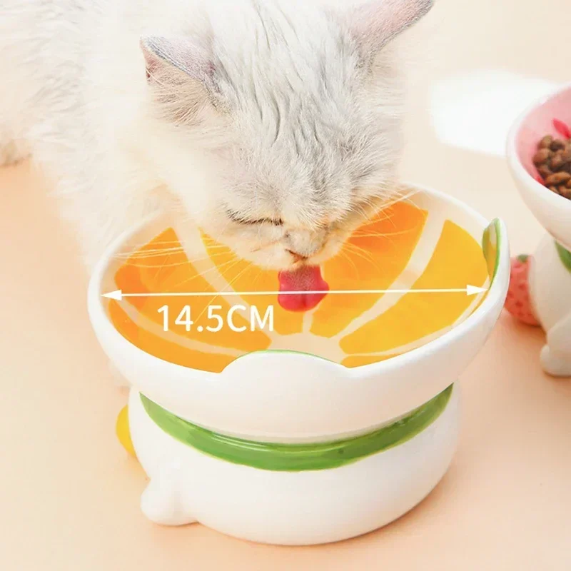 Tazón de Cerámica para Gatos y - Elevated Ceramic Cat Bowls Tilted Food reseña y precio