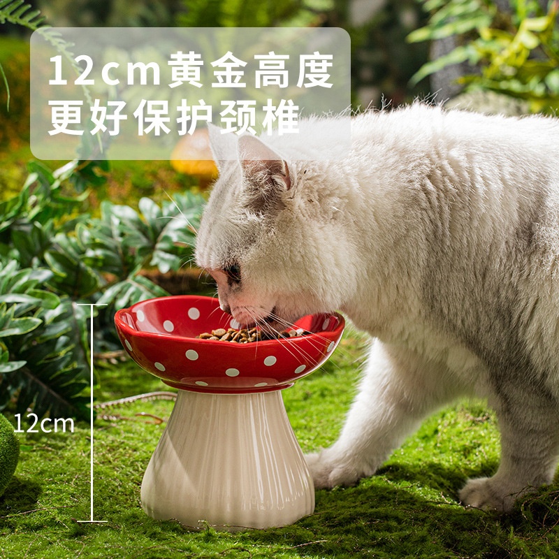 Comedero Inclinado para Gatos  - Elevated Ceramic Cat Bowls Tilted Food reseña y precio