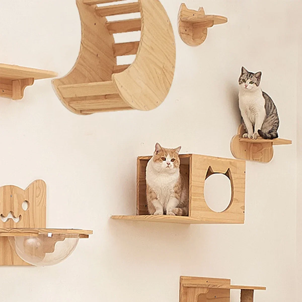 Estantes de madera para gatos, - Cat Wall Climbing Shelves Hammock Wooden reseña y precio