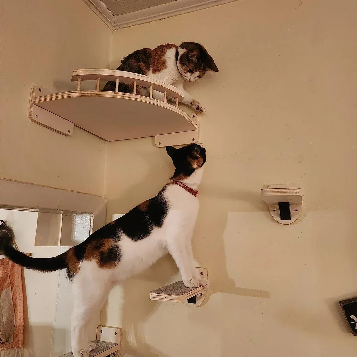Estantes de madera para gatos, - Cat Wall Climbing Shelves Hammock Wooden reseña y precio
