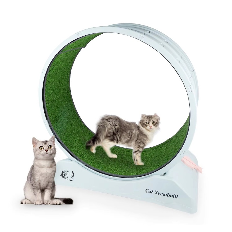 Rueda de ejercicio para gatos  - Cat Running Wheel Exercise Treadmill reseña y precio