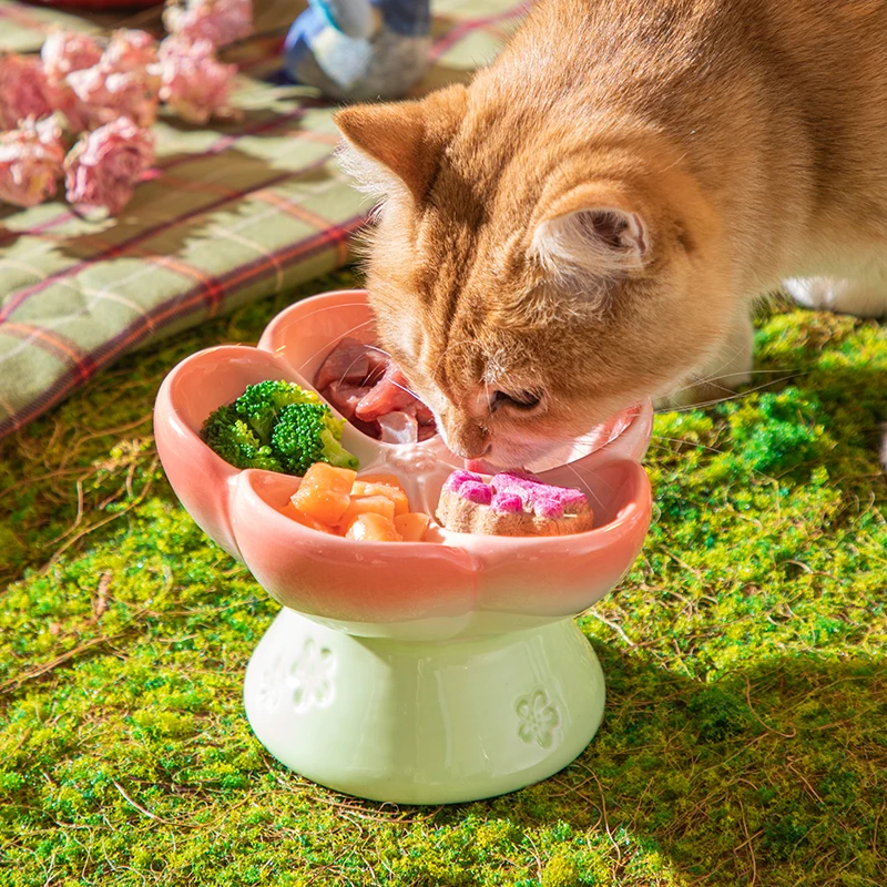 Comedero elevado de cerámica p - Elevated Ceramic Cat Bowls Tilted Food reseña y precio