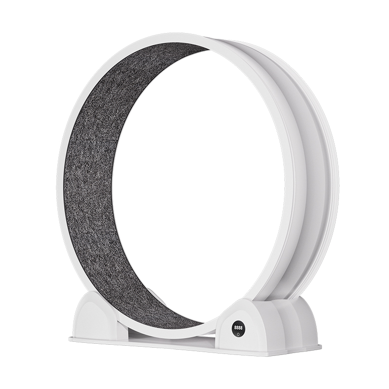 Caminadora para Gatos CATSOUL  - Cat Running Wheel Exercise Treadmill reseña y precio
