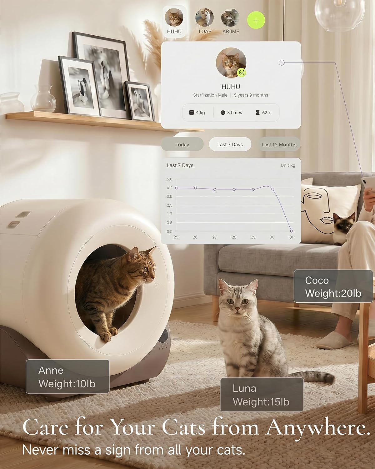 Caja de arena automática con f - Self Cleaning Cat Litter Box Automatic reseña y precio
