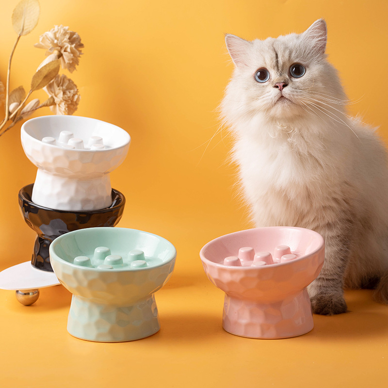 Comedero elevado de cerámica p - Elevated Ceramic Cat Bowls Tilted Food reseña y precio