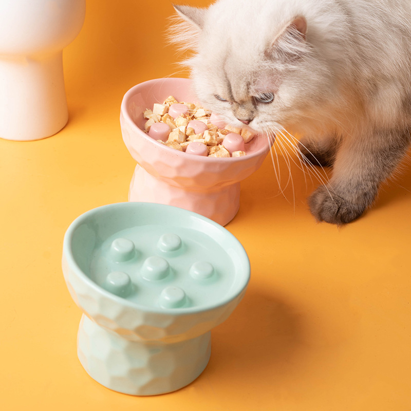 Comedero elevado de cerámica p - Elevated Ceramic Cat Bowls Tilted Food reseña y precio