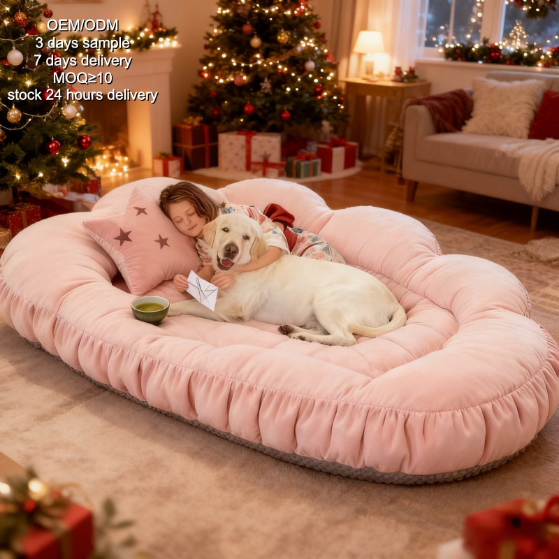 Cama ortopédica personalizada  - Orthopedic Memory Foam Dog Bed Washable reseña y precio