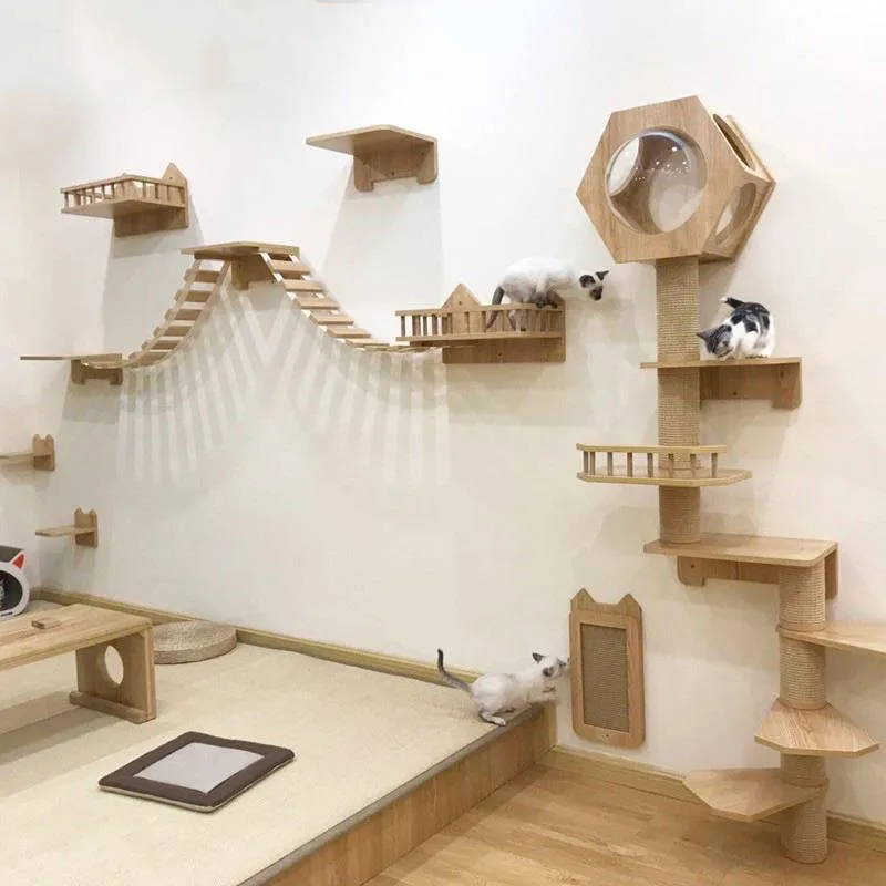 Estantes de escalada montados  - Cat Wall Climbing Shelves Hammock Wooden reseña y precio