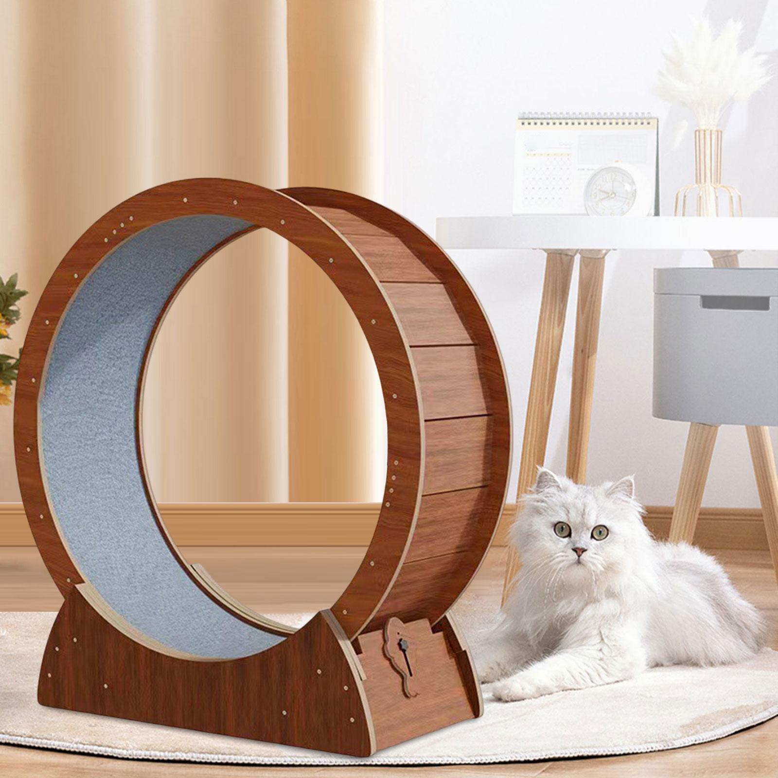 Rueda de ejercicio para gatos, - Cat Running Wheel Exercise Treadmill reseña y precio