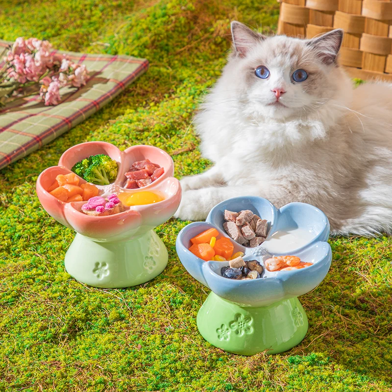 Comedero elevado de cerámica p - Elevated Ceramic Cat Bowls Tilted Food reseña y precio