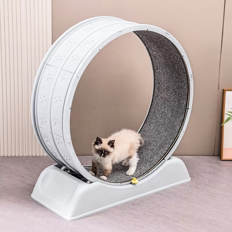 Rueda de Ejercicio Silenciosa  - Cat Running Wheel Exercise Treadmill reseña y precio