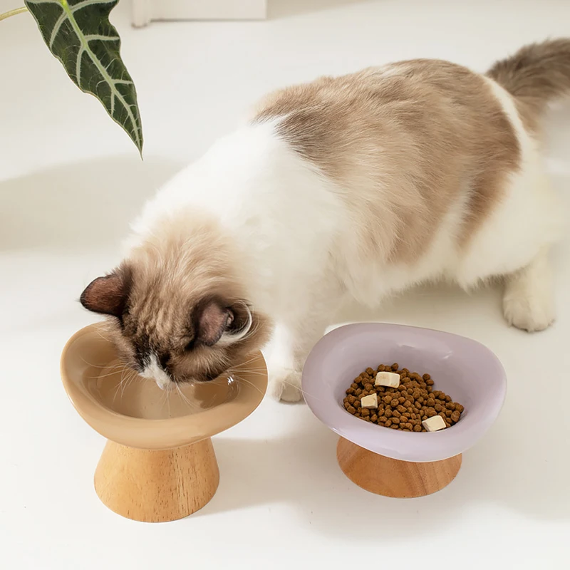 Comedero y bebedero elevados y - Elevated Ceramic Cat Bowls Tilted Food reseña y precio