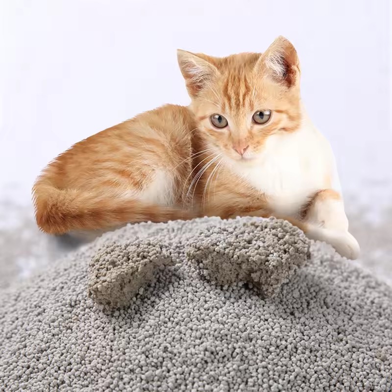 De China Altamente absorbente  - Bentonite Cat Litter Clumping Dust Free reseña y precio
