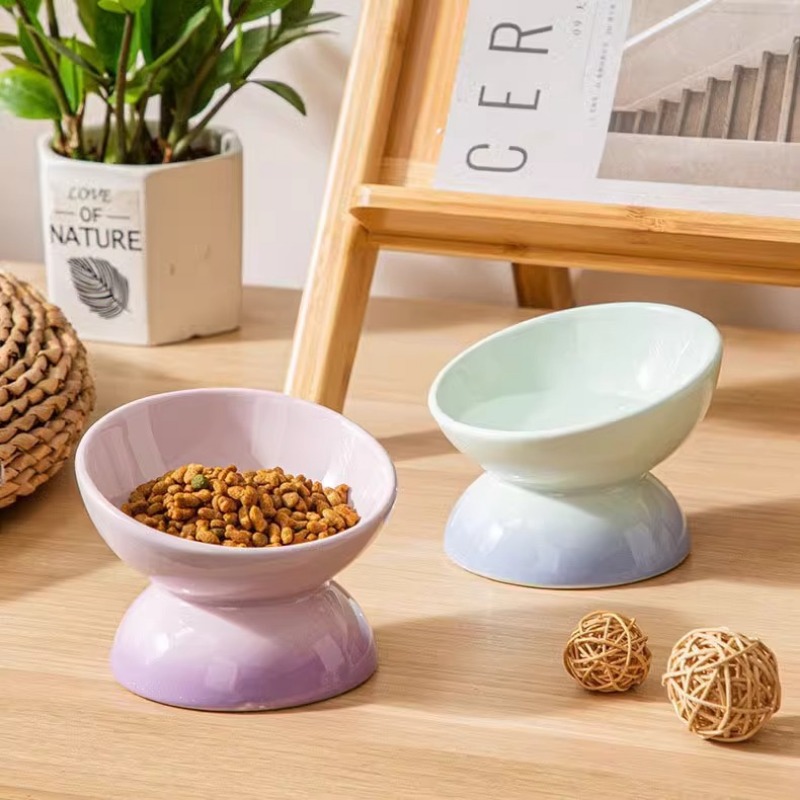 Comederos elevados de cerámica - Elevated Ceramic Cat Bowls Tilted Food reseña y precio