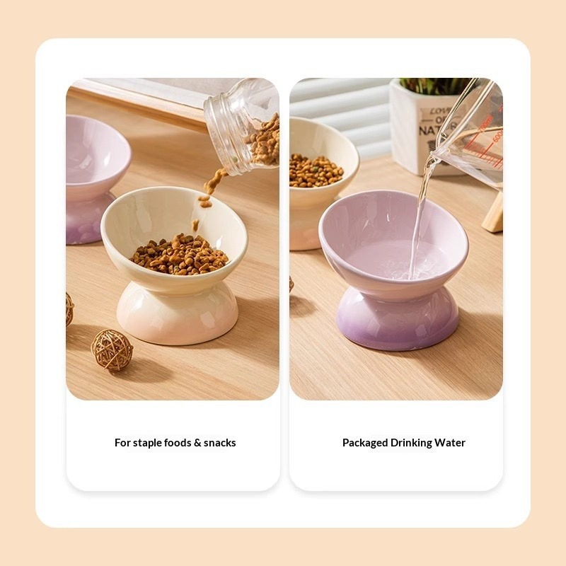 Comederos elevados de cerámica - Elevated Ceramic Cat Bowls Tilted Food reseña y precio