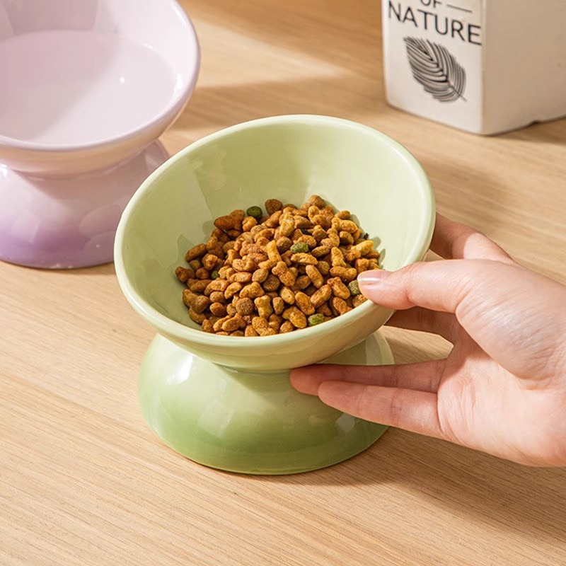 Comederos elevados de cerámica - Elevated Ceramic Cat Bowls Tilted Food reseña y precio