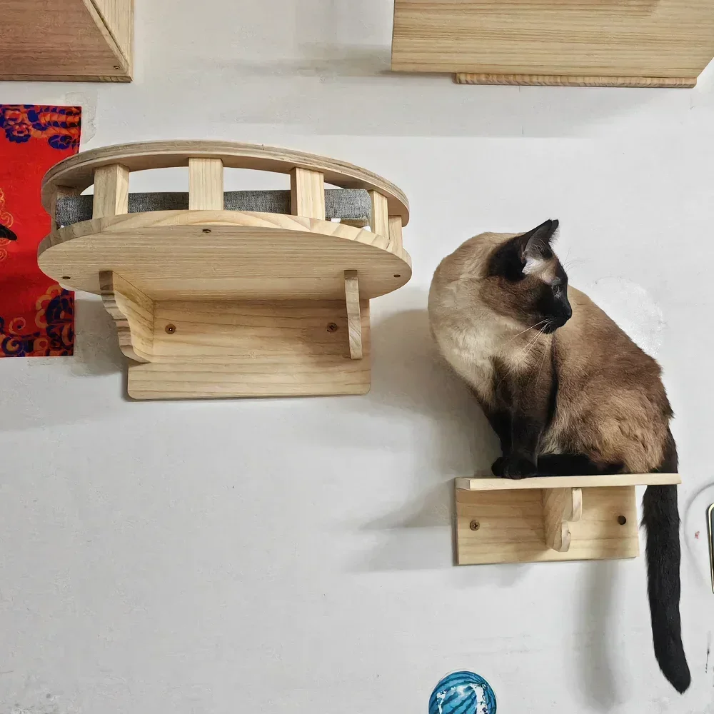 Torre de madera para gatos, mu - Cat Wall Climbing Shelves Hammock Wooden reseña y precio