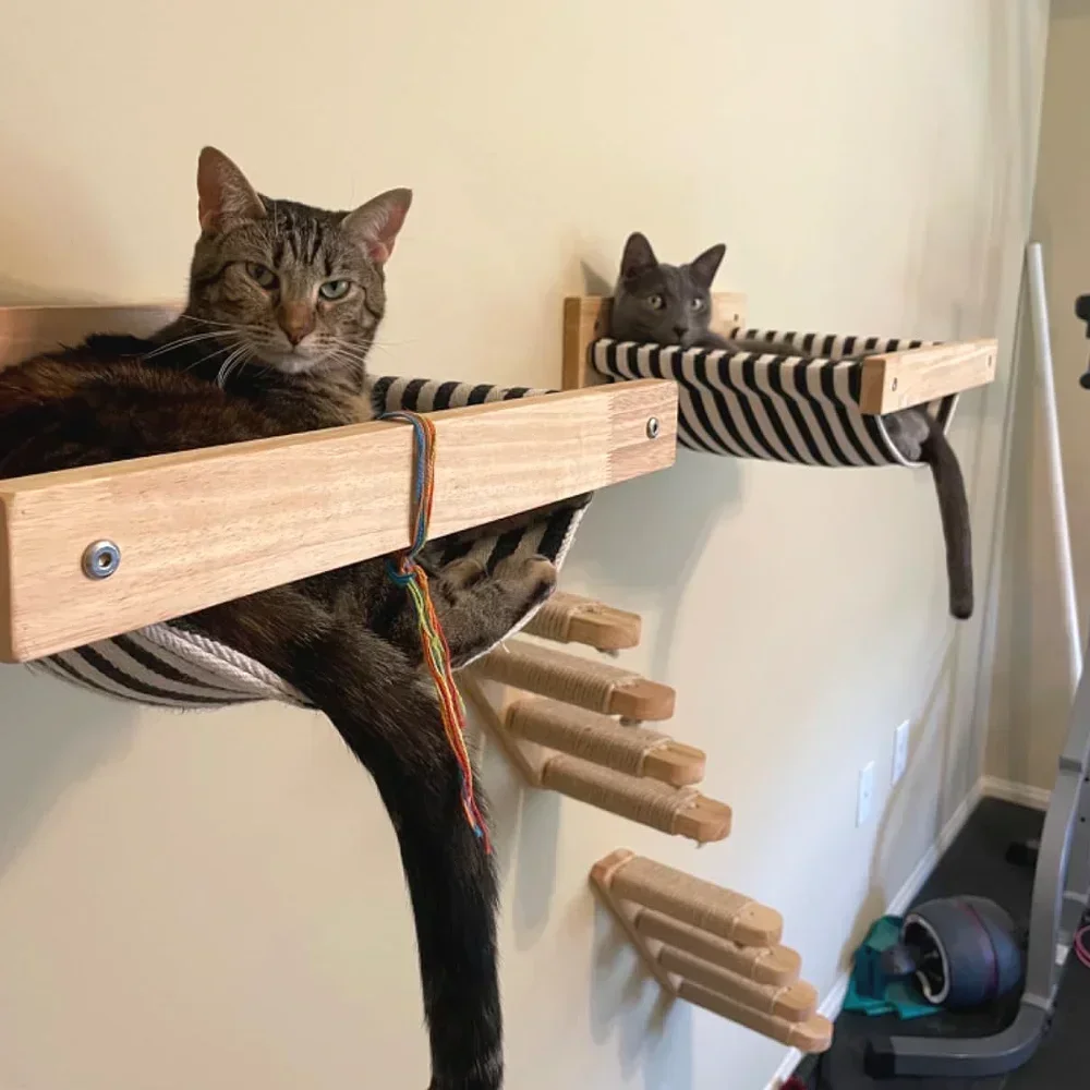 Torre de madera para gatos, mu - Cat Wall Climbing Shelves Hammock Wooden reseña y precio