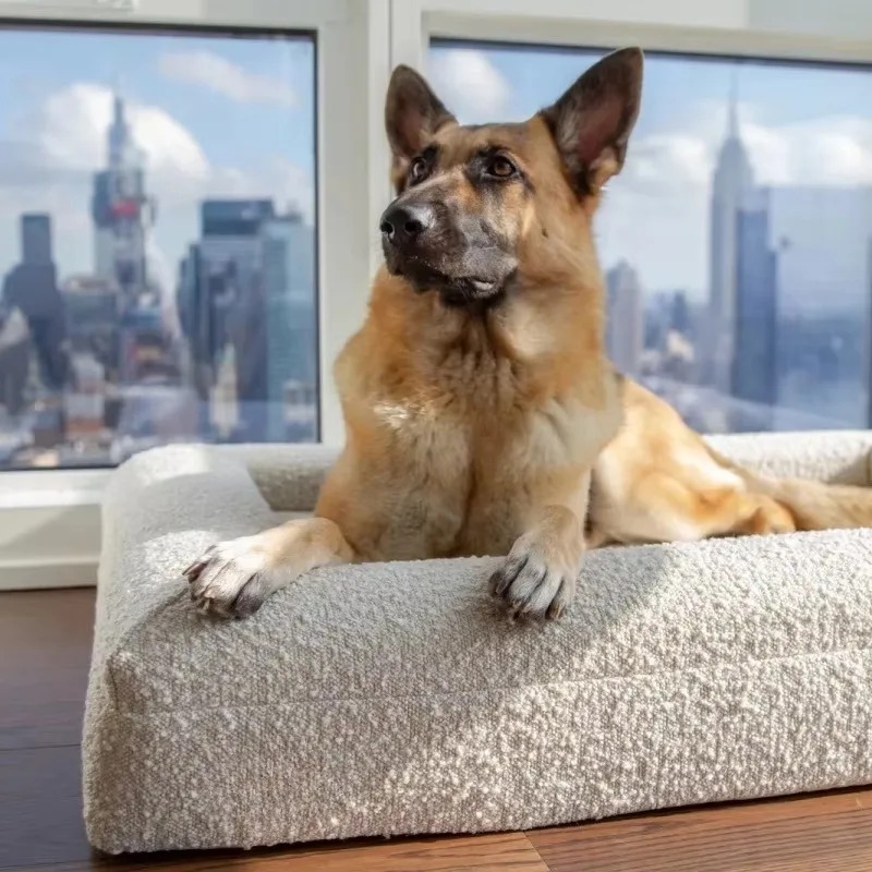 Cama para mascotas al por mayo - Orthopedic Memory Foam Dog Bed Washable reseña y precio