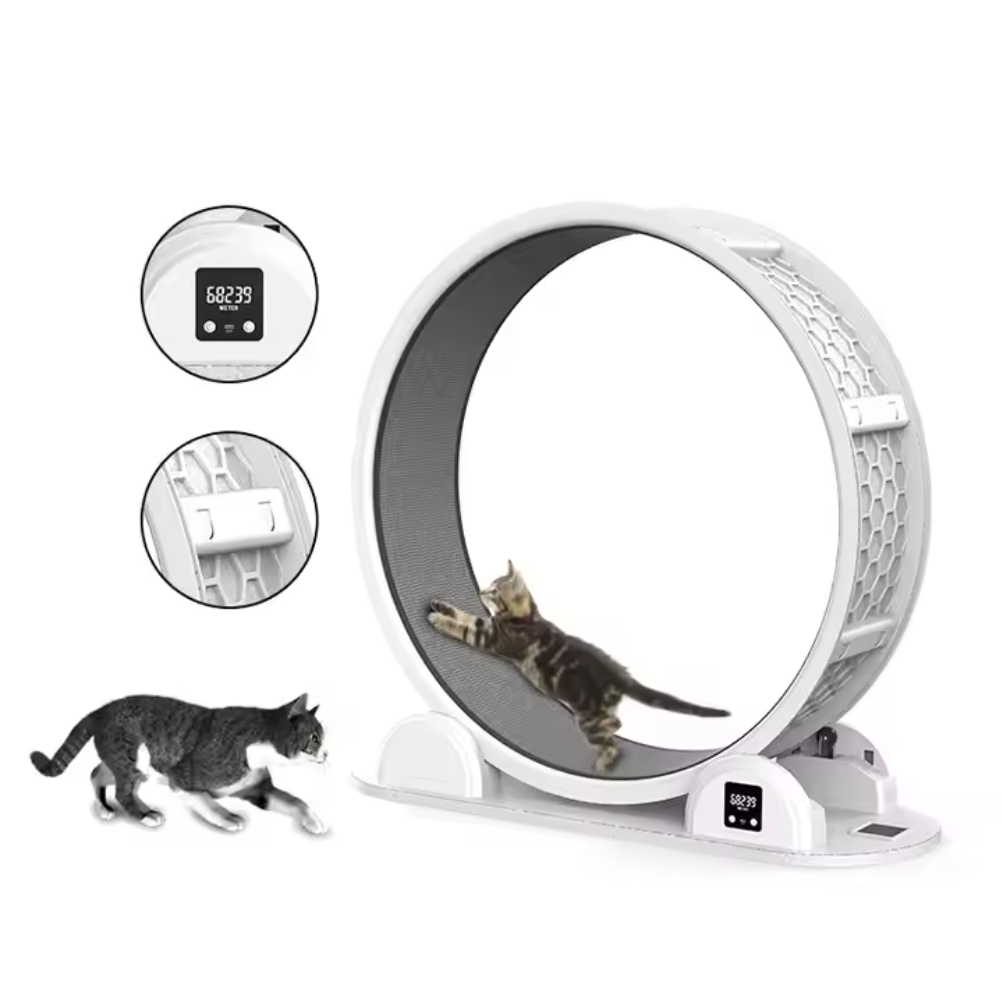Rueda de Ejercicio Interactiva - Cat Running Wheel Exercise Treadmill reseña y precio