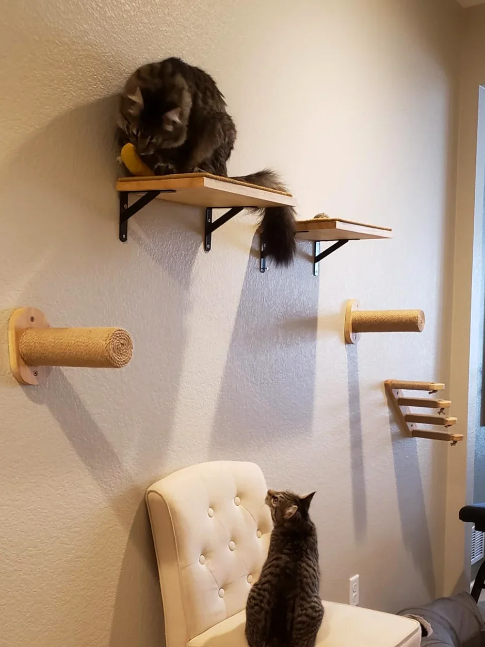 Árbol para gatos de pared con  - Cat Wall Climbing Shelves Hammock Wooden reseña y precio