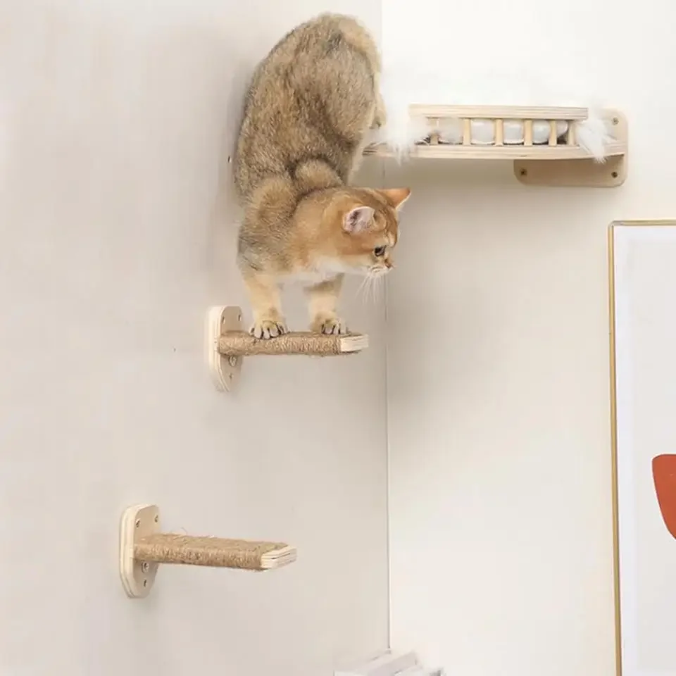 Estantes de escalada para gato - Cat Wall Climbing Shelves Hammock Wooden reseña y precio