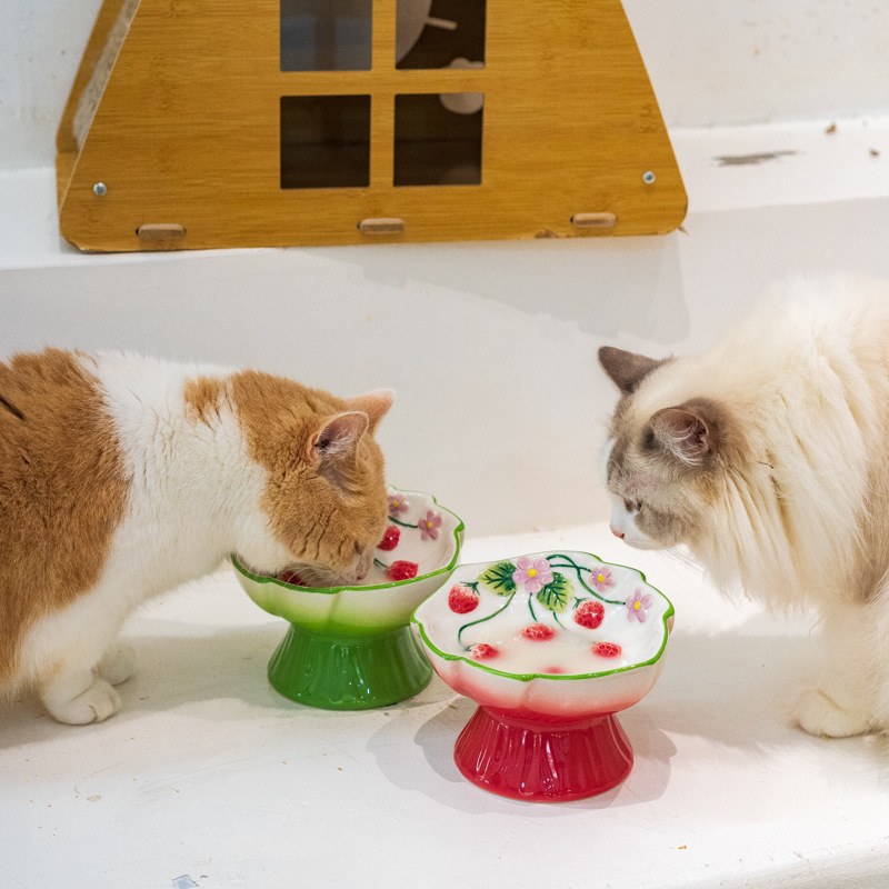 Comedero Elevado de Cerámica p - Elevated Ceramic Cat Bowls Tilted Food reseña y precio