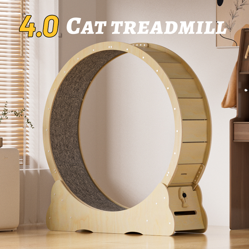2025 Rueda de ejercicio intera - Cat Running Wheel Exercise Treadmill reseña y precio