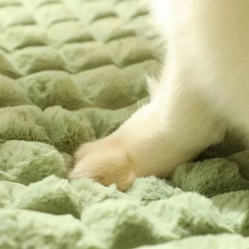 Cama para perros lavable a máq - Orthopedic Memory Foam Dog Bed Washable reseña y precio